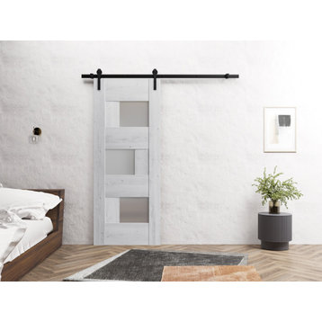 Barn Door 30 x 96, 6933 Nordic White & Frosted Glass, 6.6FT