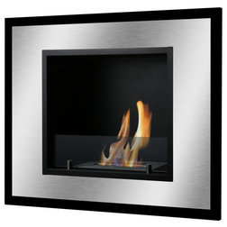 Contemporary Indoor Fireplaces by Ventless Fireplace Pros