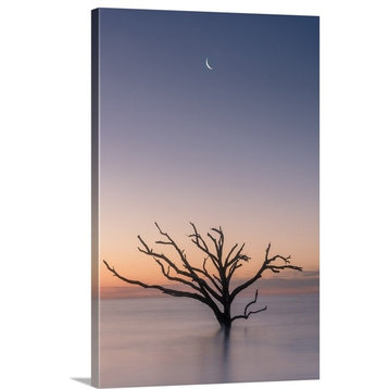 "Botany Bay Crescent Moon" Wrapped Canvas Art Print, 24"x36"x1.5"