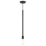 Livex Lighting - Livex Lighting Prague - One Light Pendant, Black Finish - Canopy Included: Yes  Canopy DiPrague One Light Pen BlackUL: Suitable for damp locations Energy Star Qualified: n/a ADA Certified: n/a  *Number of Lights: Lamp: 1-*Wattage:60w Medium Base bulb(s) *Bulb Included:No *Bulb Type:Medium Base *Finish Type:Black