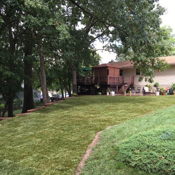 Backyard Makeovers