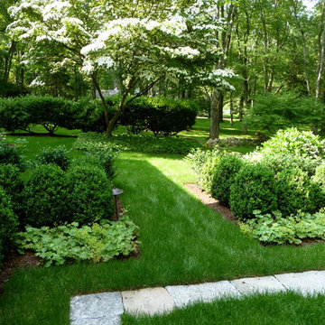 Outdoor Court