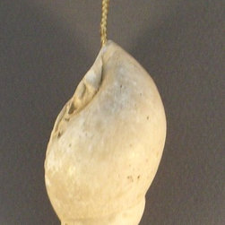 Sea Shell Ornament - Holiday Decorations
