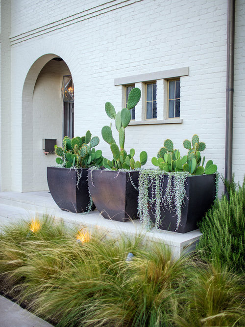 Small Front Yard Landscape Ideas, Designs, Remodels & Photos