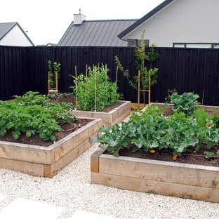 Großer Stilmix Gemüsegarten hinter dem Haus mit direkter Sonneneinstrahlung in Christchurch