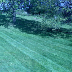 Stripe Mowing - Products