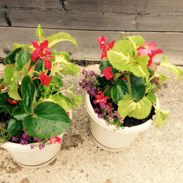 Container Gardens