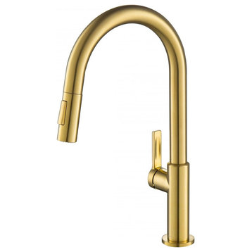 Modern Kitchen Faucet, Single Handle and Pull-Down Sprayer, Golden Finish