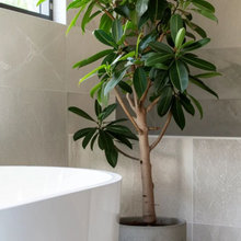 Mountain View - Master Bathroom