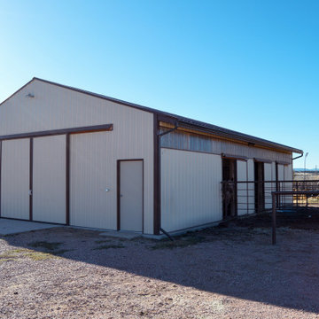 Safe Haven for Horses