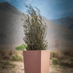 Sylphlike Planters - Products