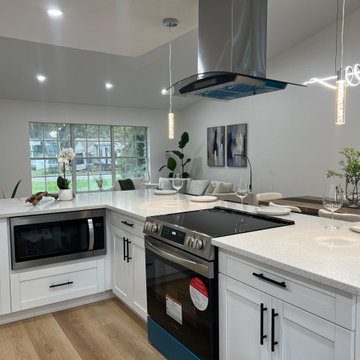 Full Home Remodel in Spring Hills