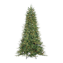 Wish List