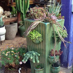 Succulent arrangements - Products