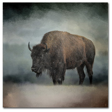 Jai Johnson 'Stormy Day Buffalo' Canvas Art, 35 x 35