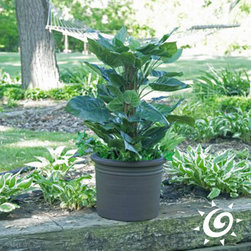 Poly Resin Rolled Rim Cylinder Pot - Outdoor Pots And Planters