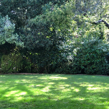 Jon and Thuy Anh's garden