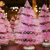 Maureen Canning Uleau's photo
