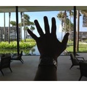 Manuel S.V.'s photo