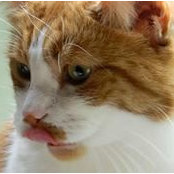Bonnie Libbey's photo