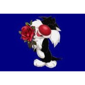 Elizabeth Moore's photo