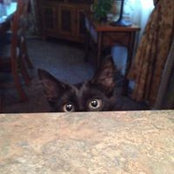 Melissa Haney's photo