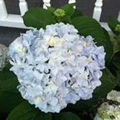 Beverly Thompson Knoebel's photo