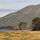 Trevor Skillen's photo