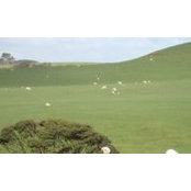 Georgina Brozon's photo