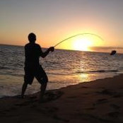 Joshua Saffren's photo