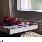 Eman Mohamed's photo