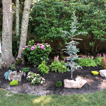 Poolside Planting and more