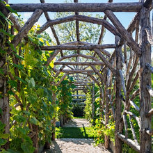 out side play  gardens and pools