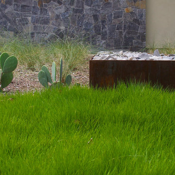 Infill House: Landscape Detail