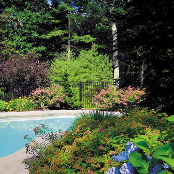 Backyard Custom In-ground Pool