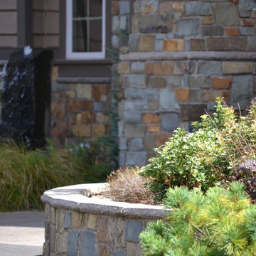 Detailed Entry