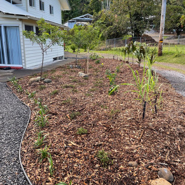 ENOKA PLACE-front yard makeover after septic tank installation.