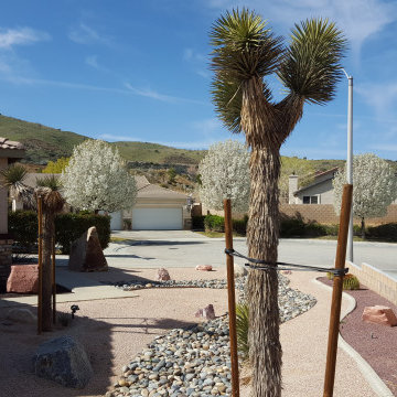 Xerigardens