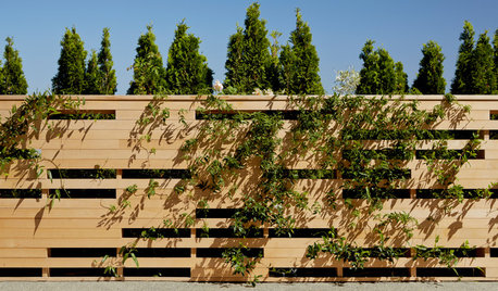10 Fresh Designs for Eye-Catching Wood Fences