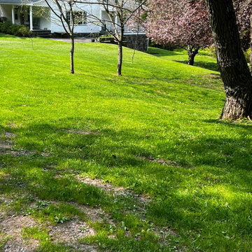 Professional Lawn Care & Mulch Installation