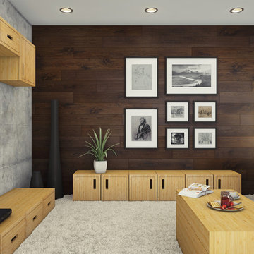 Modern TV Room