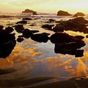 Wendy Emanuel's photo