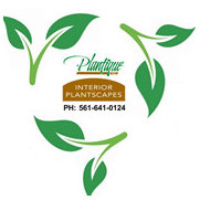 Plantique Inc Interior Plantscapes Greenacres Fl Us 33463