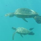 Josh Bishop's photo