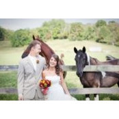 Laura Bradley's photo