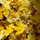 heather_burkhardt