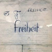 Elisabeth Perchtold's photo