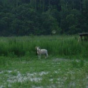 Photo de Ellen Smith Hogan