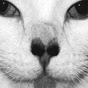 Wanda Rose's photo