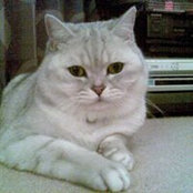 Lisa O'Beirne's photo